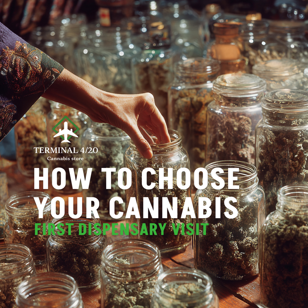 Instagram_Terminal420How to Choose your Cannabis Square