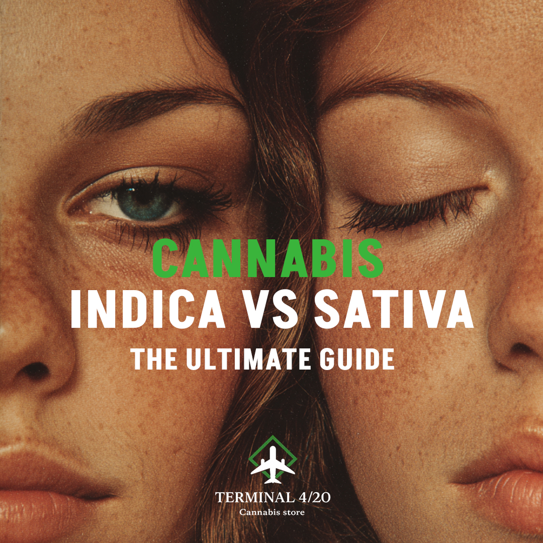 Instagram_Terminal420Indica vs Sativa Square