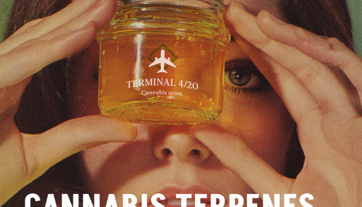 Instagram_Terminal420Terps Explained Square
