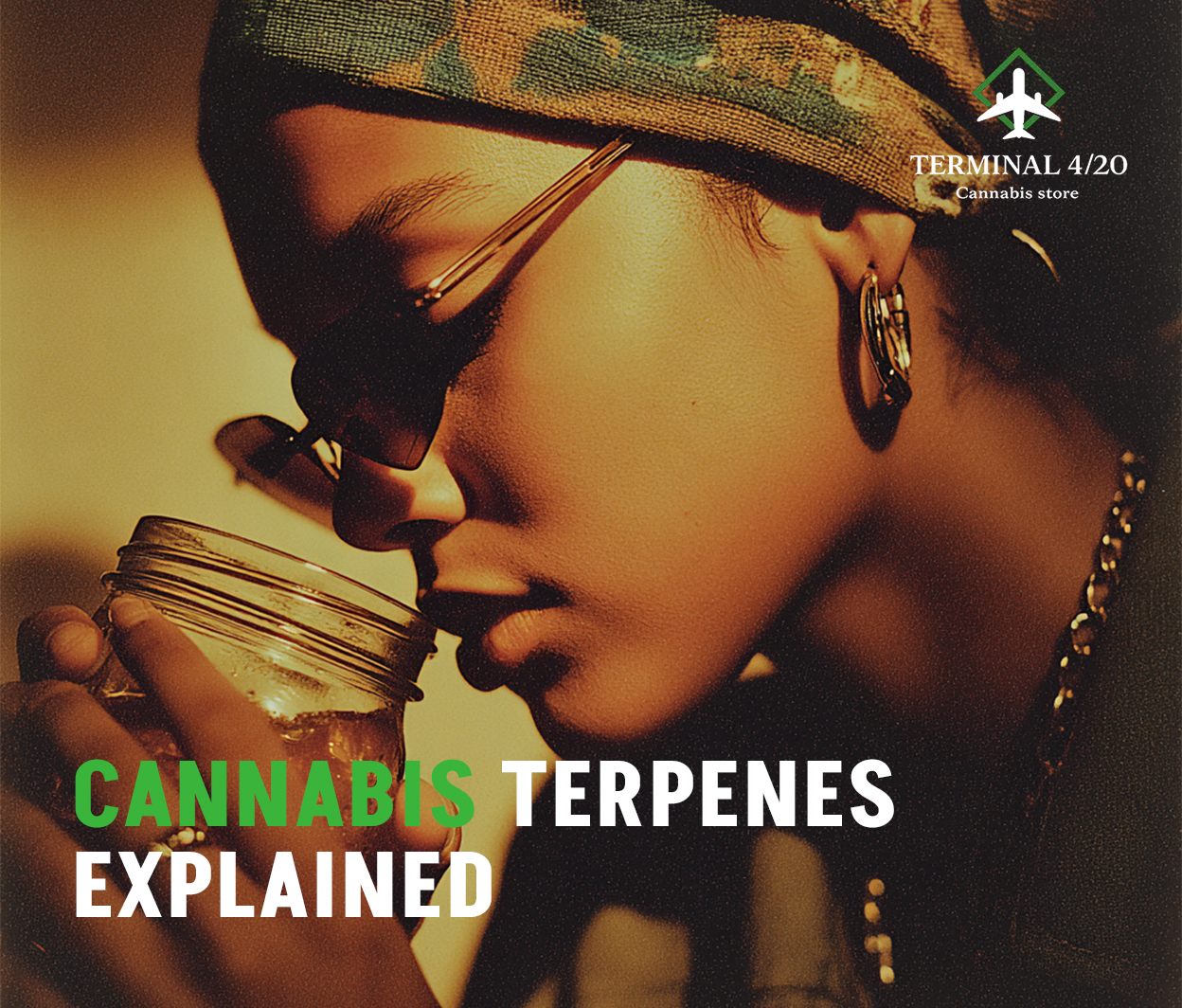 Blog_Terminal420Terps Explained V2